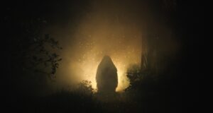 48o Festival de Cinema de Gramado – Dia 3 Um Animal Amarelo (filme)