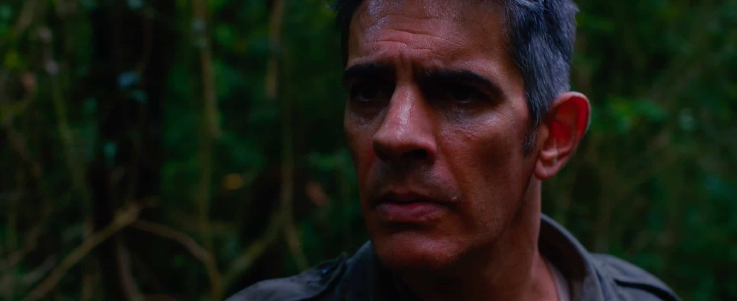 El Silencio del Cazador (filme)