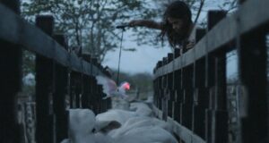 As astronaut I visited planets: Neon Bull Neon Bull (film)